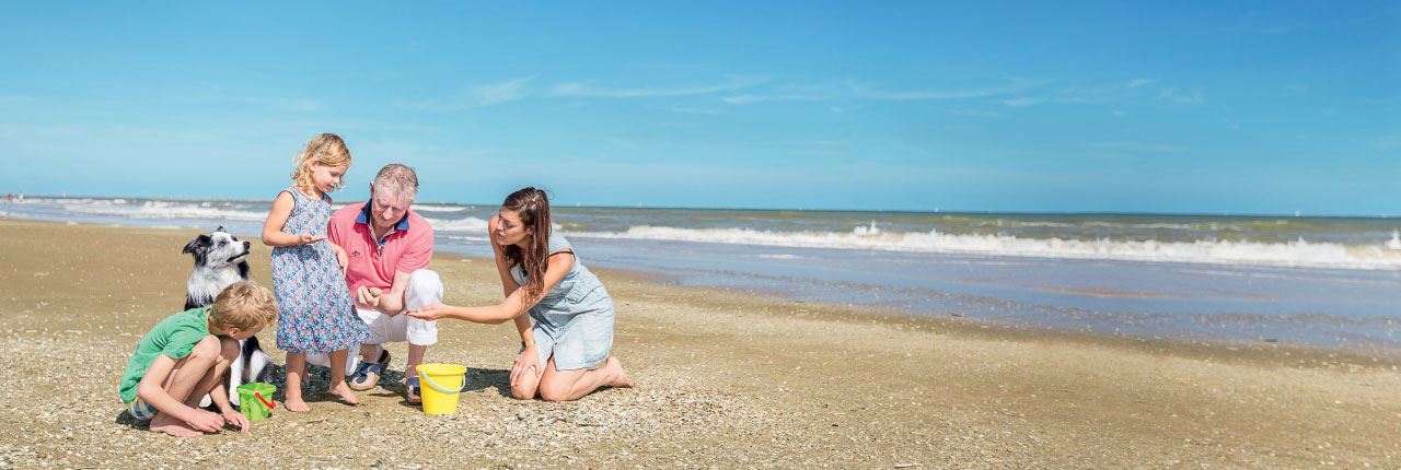 Hundestrände Urlaub mit Hund am Meer